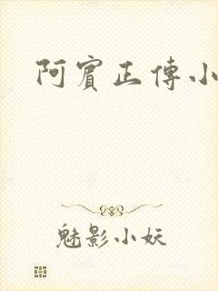 阿宾正传小说封面
