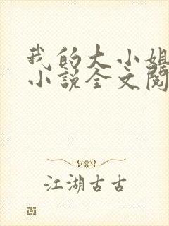 我的大小姐老婆小说全文阅读免费封面