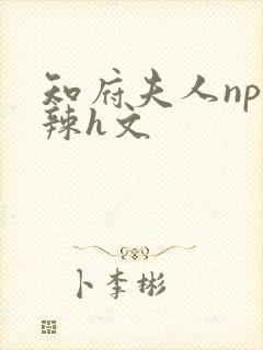 知府夫人np高辣h文