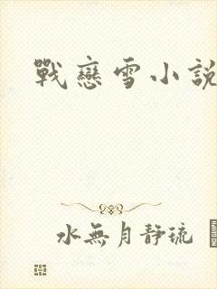 战恋雪小说
