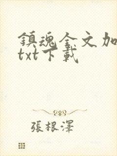 镇魂全文加番外txt下载