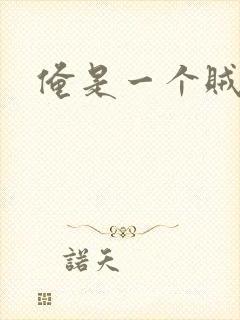 俺是一个贼封面