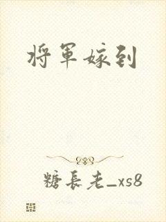将军嫁到