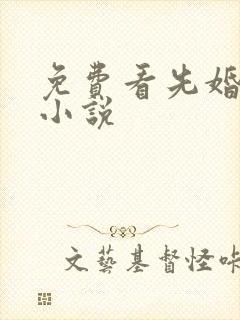 免费看先婚后爱小说