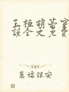 王桓胡蕾穿越小说全文免费阅读