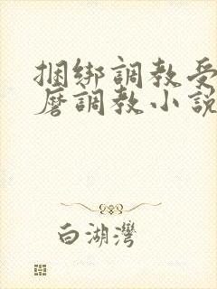 捆绑调教受虐折磨调教小说封面