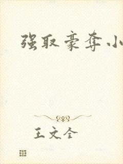 强取豪夺小说