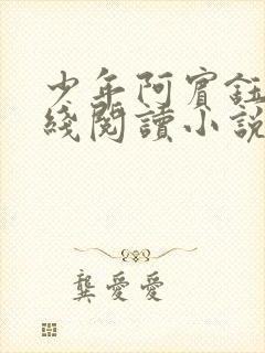 少年阿宾钰慧在线阅读小说