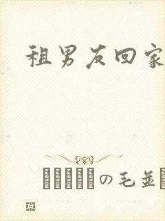 租男友回家过年
