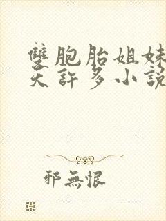 双胞胎姐妹乐翻天许多小说说免费封面