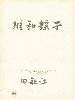 维和粽子封面
