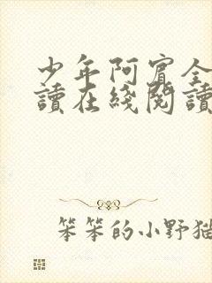 少年阿宾全文阅读在线阅读全文第一季