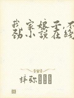 我家娘子,不对劲小说在线阅读