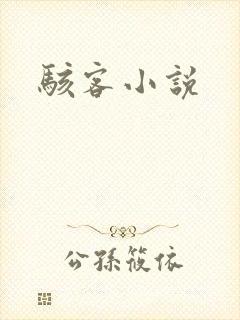 骇客小说