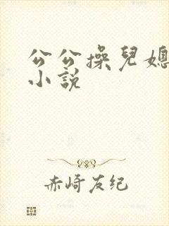 公公操儿媳的逼小说封面