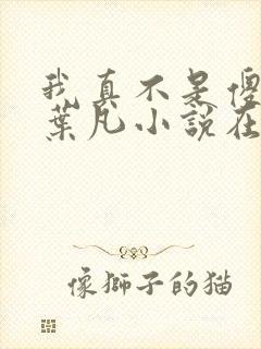 我真不是傻子了叶凡小说在线阅读