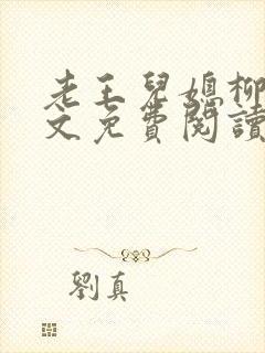 老王儿媳柳菲全文免费阅读小说封面