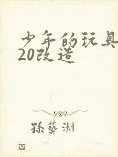 少年的玩具1一20改造