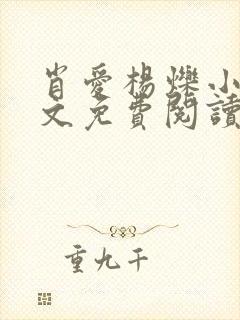 肖爱杨烁小说全文免费阅读最新章节封面