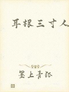 耳根三寸人间封面