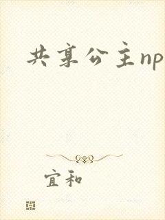 共享公主npc