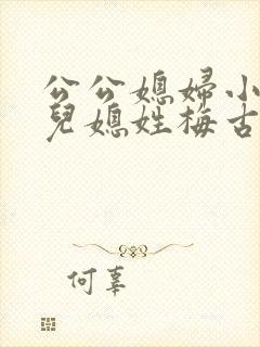 公公媳妇小说 儿媳姓梅古言免费阅读全文