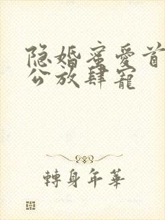 隐婚蜜爱首席老公放肆宠