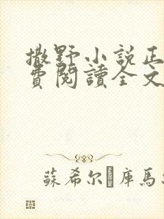 撒野小说正版免费阅读全文无弹窗