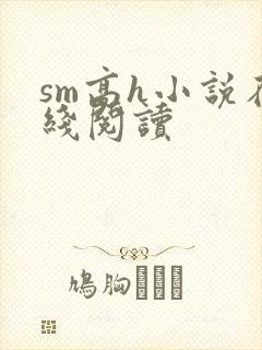 sm高h小说在线阅读