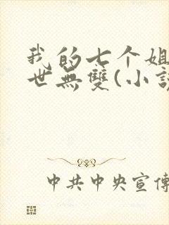 我的七个姐姐绝世无双(小说)