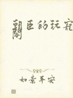 朝臣的玩宠笔趣阁封面