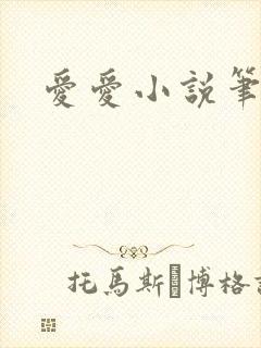 爱爱小说笔趣阁