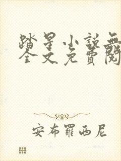踏星小说无弹窗全文免费阅读封面