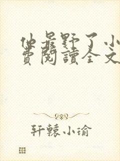 他最野了小说免费阅读全文