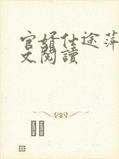 官婿仕途萍姨全文阅读封面