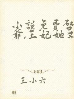 小说免费启禀王爷,王妃她又穷疯了封面