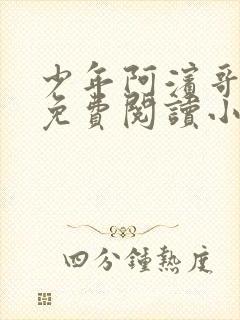 少年阿滨哥全文免费阅读小说封面