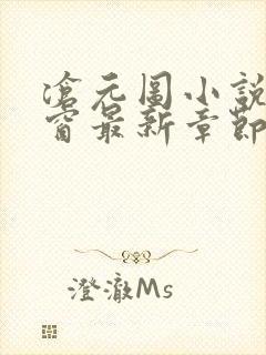 沧元图小说无弹窗最新章节