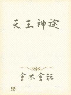 天王神途