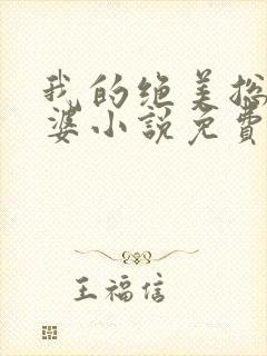 我的绝美总裁老婆小说免费