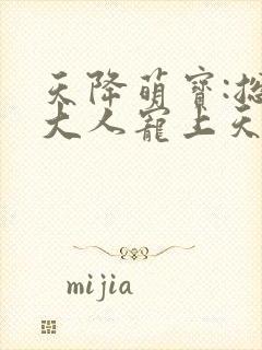 天降萌宝:总裁大人宠上天封面
