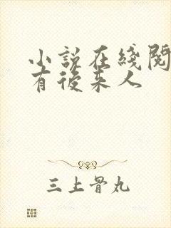 小说在线阅读还有后来人