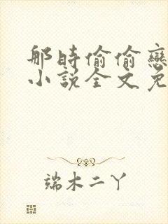 那时偷偷恋着他小说全文免费阅读