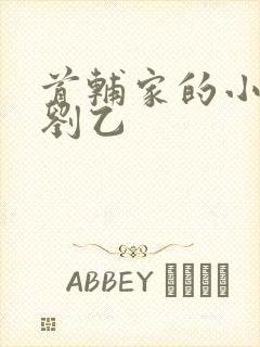 首辅家的小娇娘刘乙