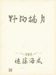 野狗摘月