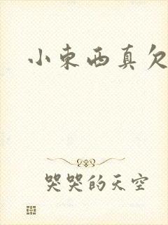 小东西真欠弄