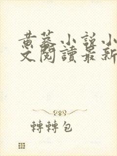 黄蓉小说小强全文阅读最新章节更新