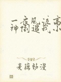 一夜风流高冷女神倒追我小说免费阅读无弹窗封面