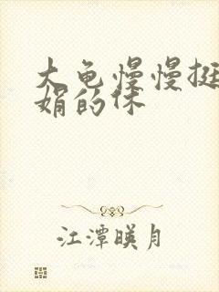 大龟慢慢挺进张娟的休