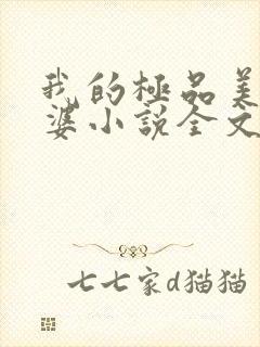 我的极品美女老婆小说全文免费读